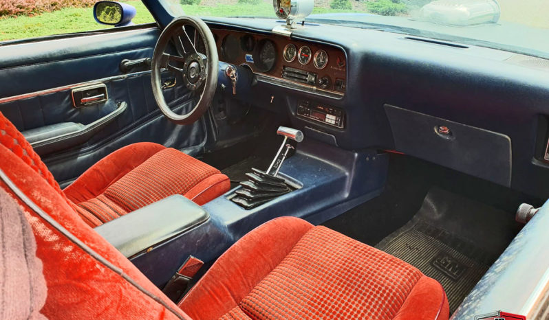 1981 Pontiac Firebird full
