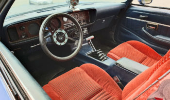 1981 Pontiac Firebird full