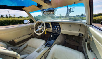 1979 Chevrolet Corvette full
