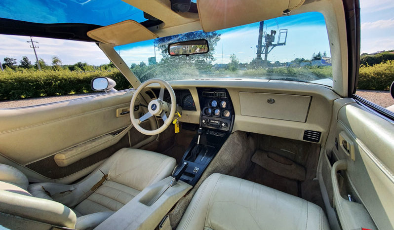 1979 Chevrolet Corvette full